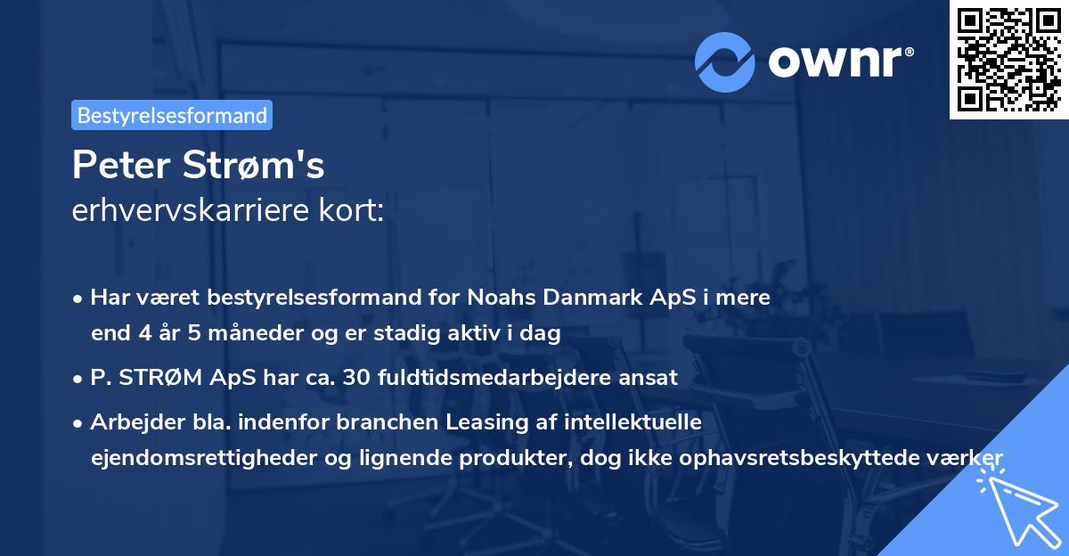 Peter Strøm's erhvervskarriere kort