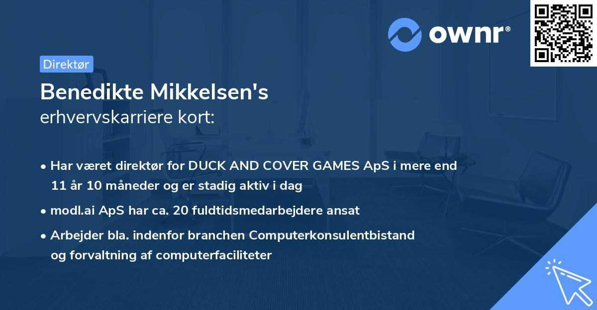 Benedikte Mikkelsen's erhvervskarriere kort