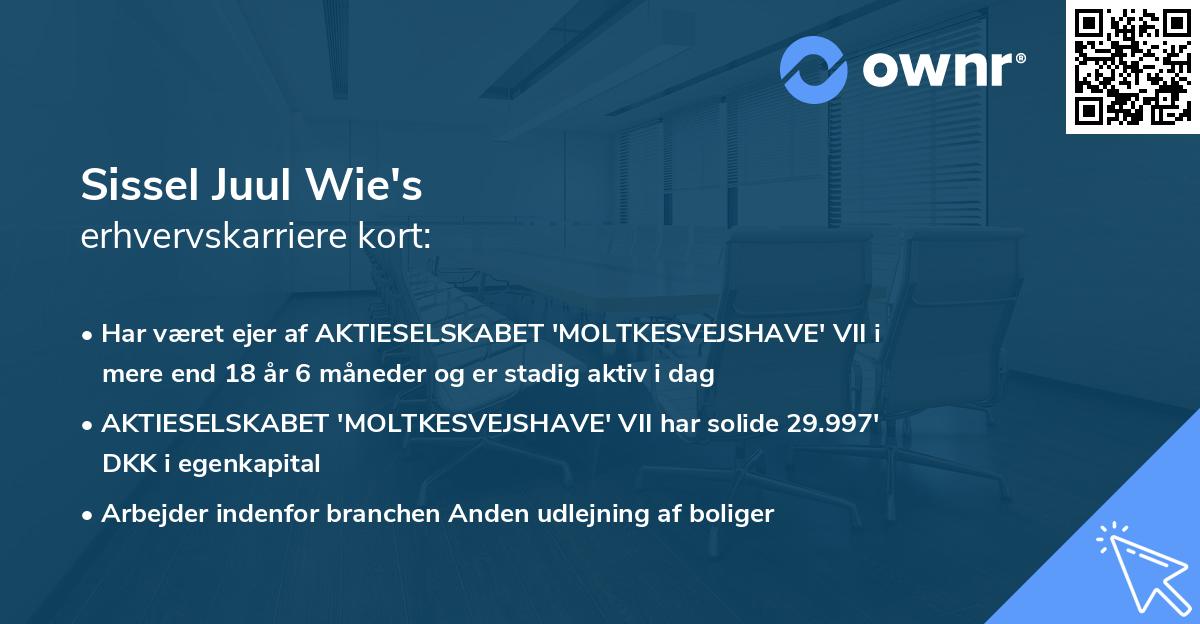 Sissel Juul Wie's erhvervskarriere kort