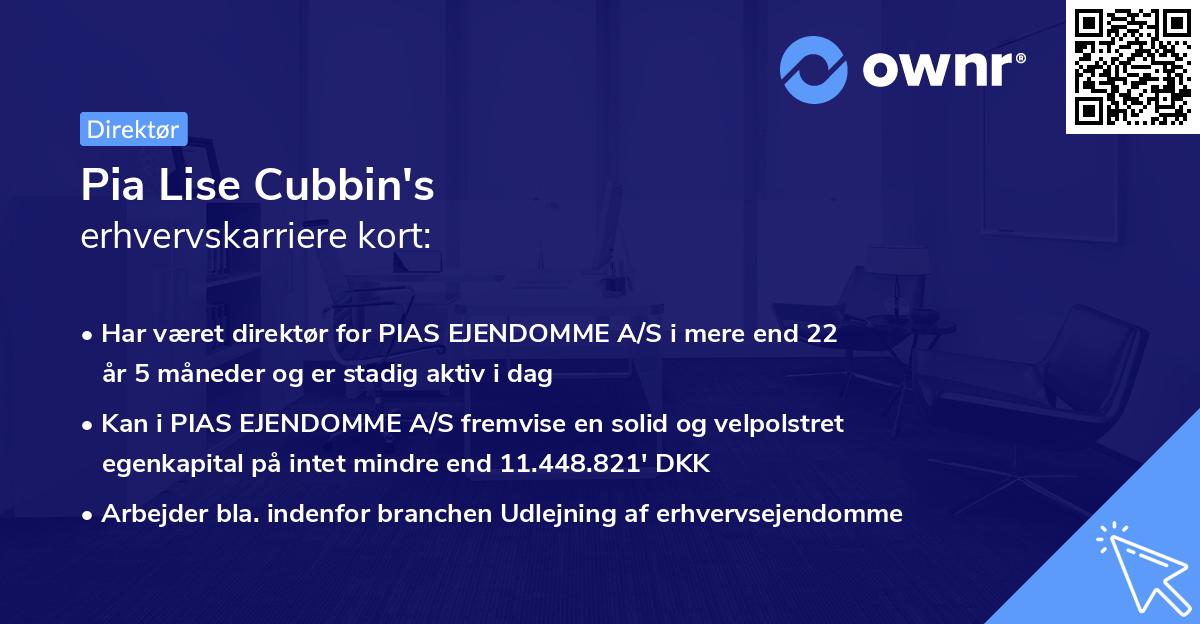 Pia Lise Cubbin's erhvervskarriere kort