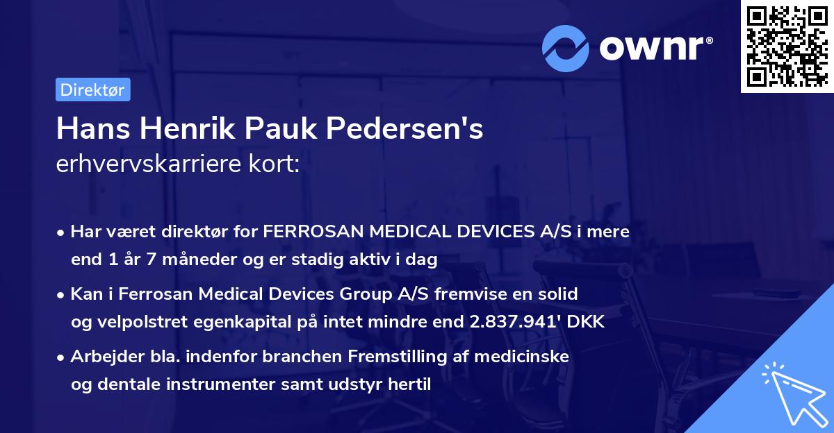 Hans Henrik Pauk Pedersen's erhvervskarriere kort