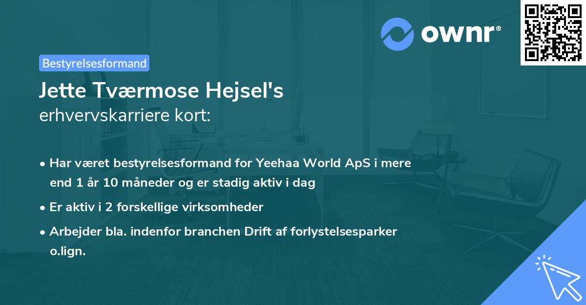 Jette Tværmose Hejsel's erhvervskarriere kort