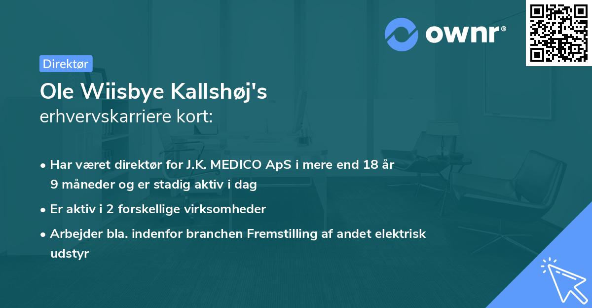 Ole Wiisbye Kallshøj's erhvervskarriere kort