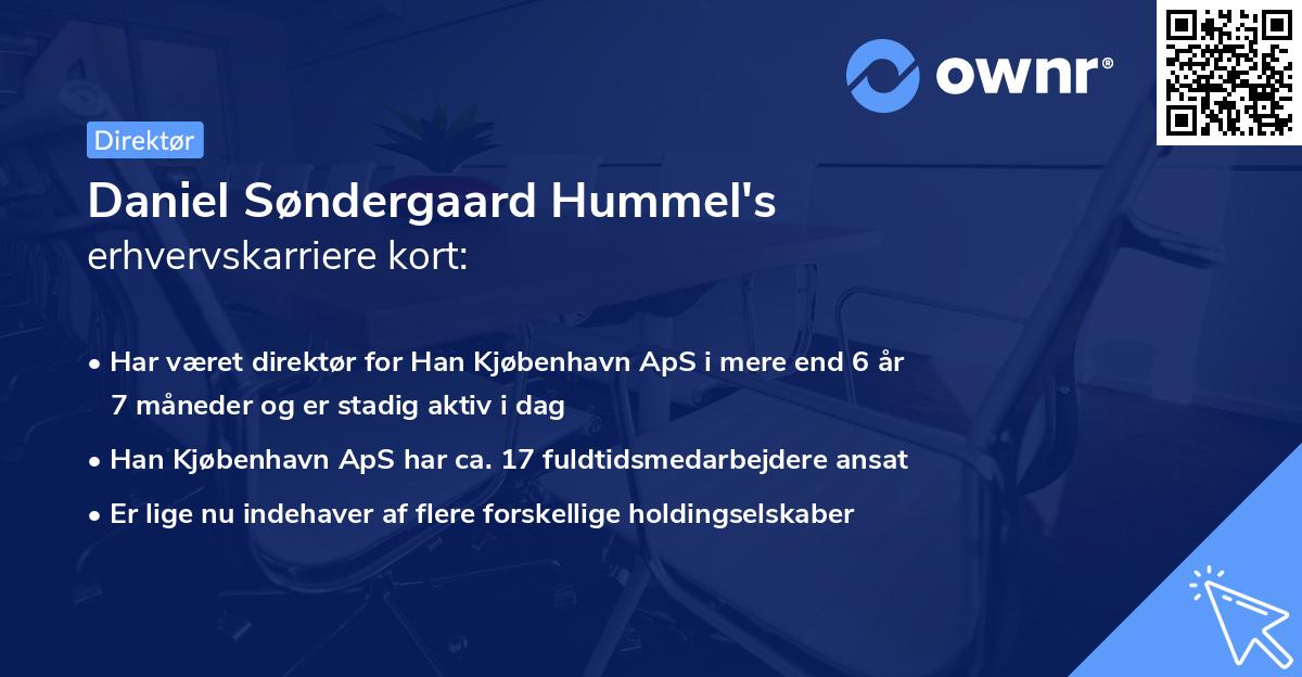 Daniel Søndergaard Hummel's erhvervskarriere kort