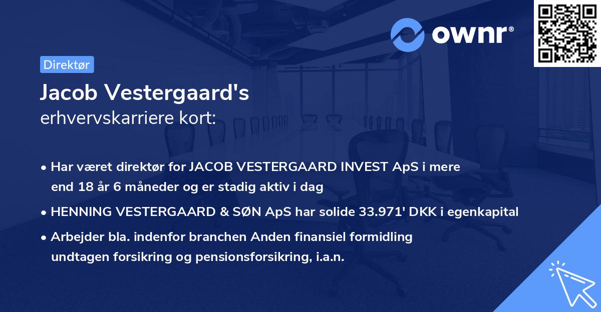 Jacob Vestergaard's erhvervskarriere kort