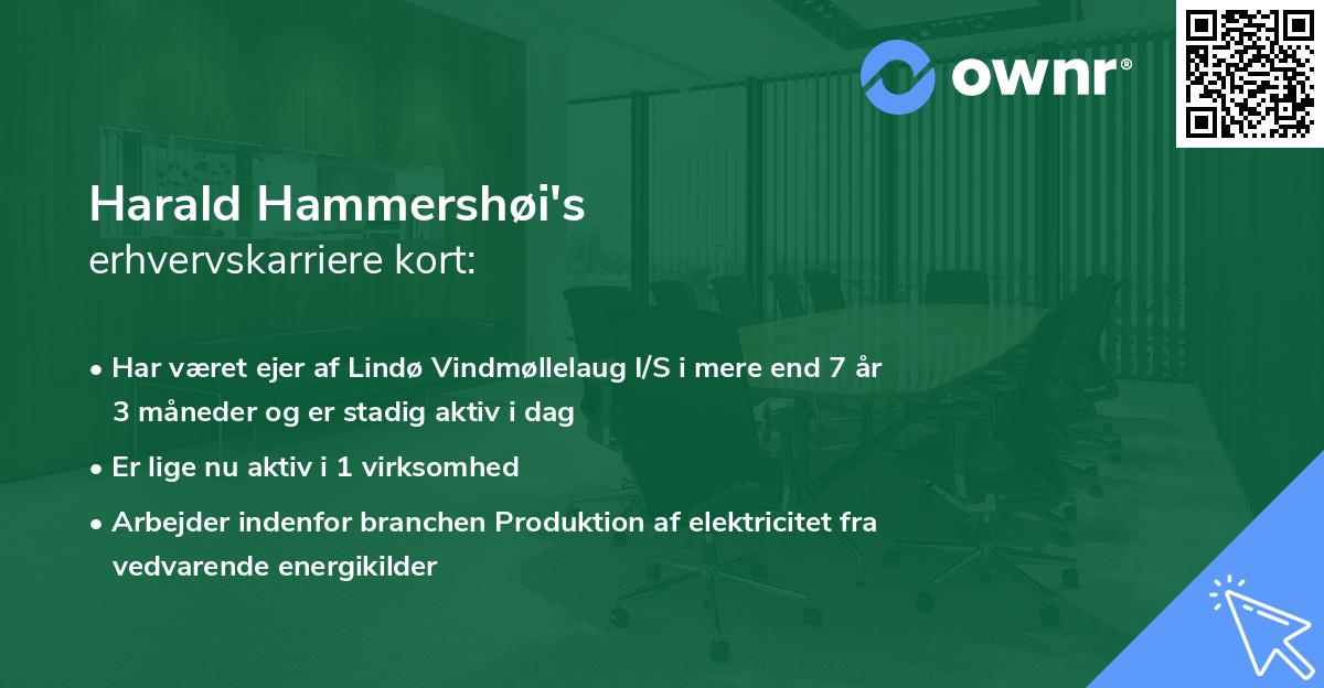 Harald Hammershøi's erhvervskarriere kort