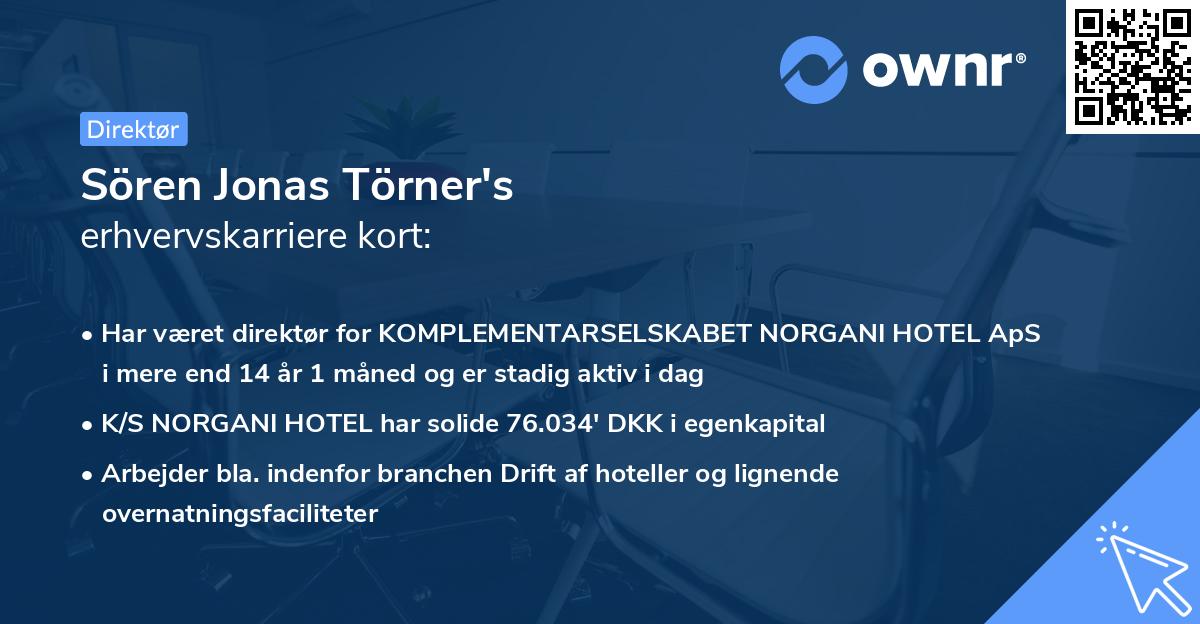 Sören Jonas Törner's erhvervskarriere kort