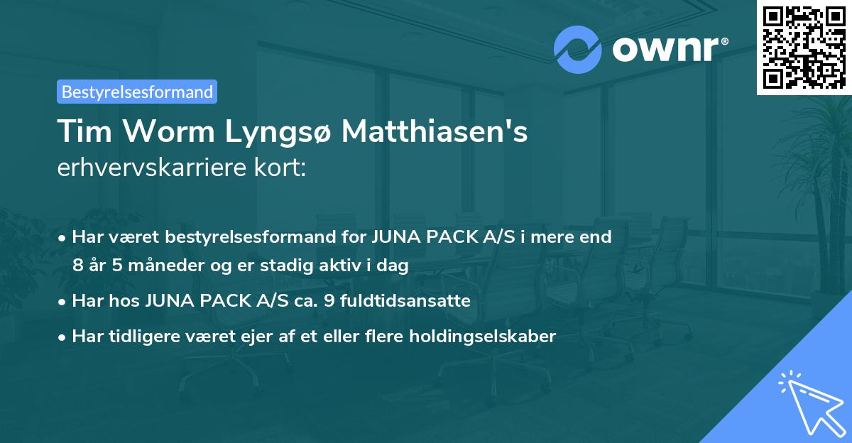 Tim Worm Lyngsø Matthiasen's erhvervskarriere kort