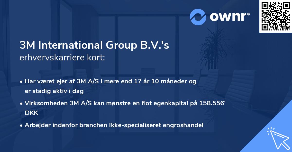 3M International Group B.V.'s erhvervskarriere kort