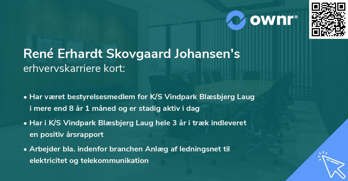 René Erhardt Skovgaard Johansen's erhvervskarriere kort