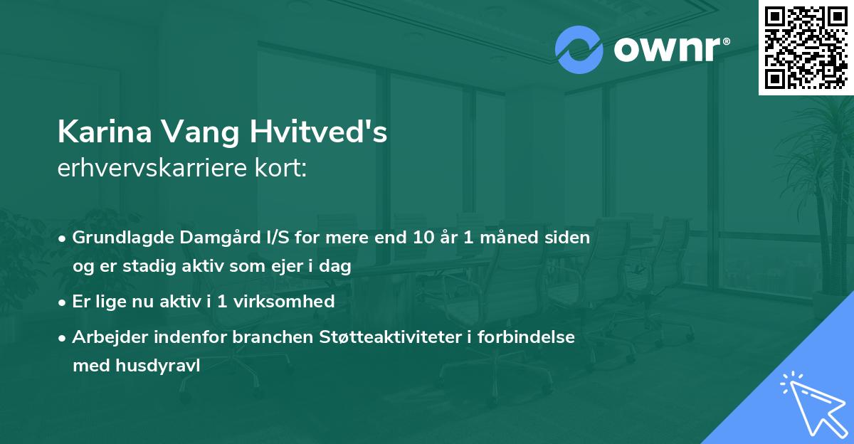 Karina Vang Hvitved's erhvervskarriere kort