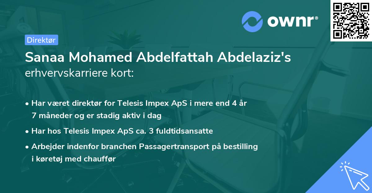 Sanaa Mohamed Abdelfattah Abdelaziz's erhvervskarriere kort