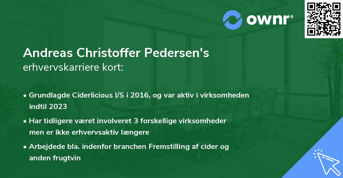 Andreas Christoffer Pedersen's erhvervskarriere kort