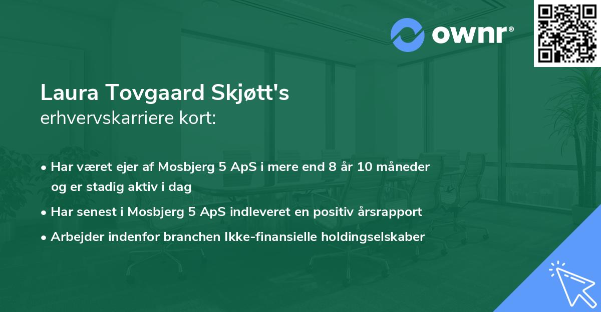 Laura Tovgaard Skjøtt's erhvervskarriere kort