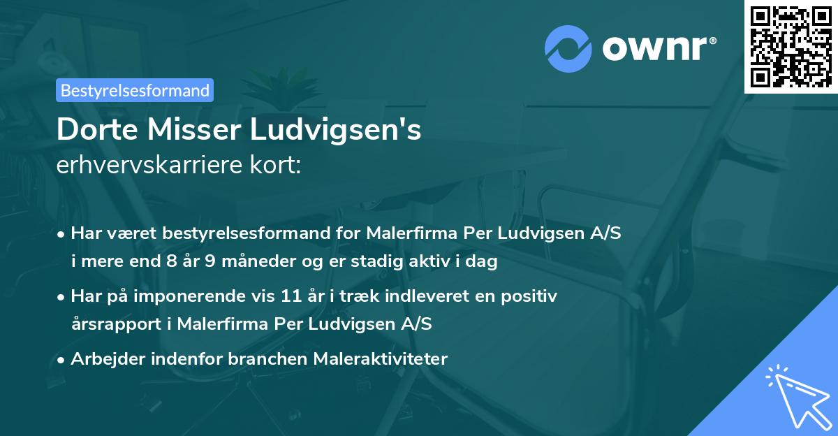 Dorte Misser Ludvigsen's erhvervskarriere kort