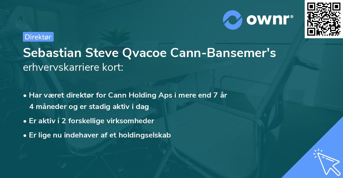 Sebastian Steve Qvacoe Cann-Bansemer's erhvervskarriere kort