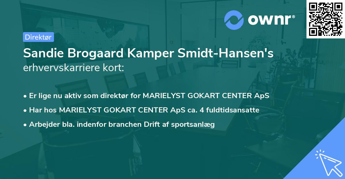 Sandie Brogaard Kamper Smidt-Hansen's erhvervskarriere kort