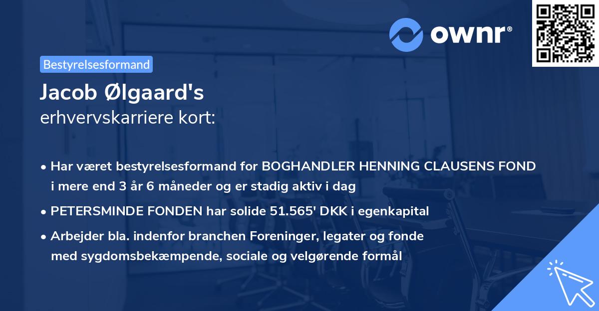 Jacob Ølgaard's erhvervskarriere kort