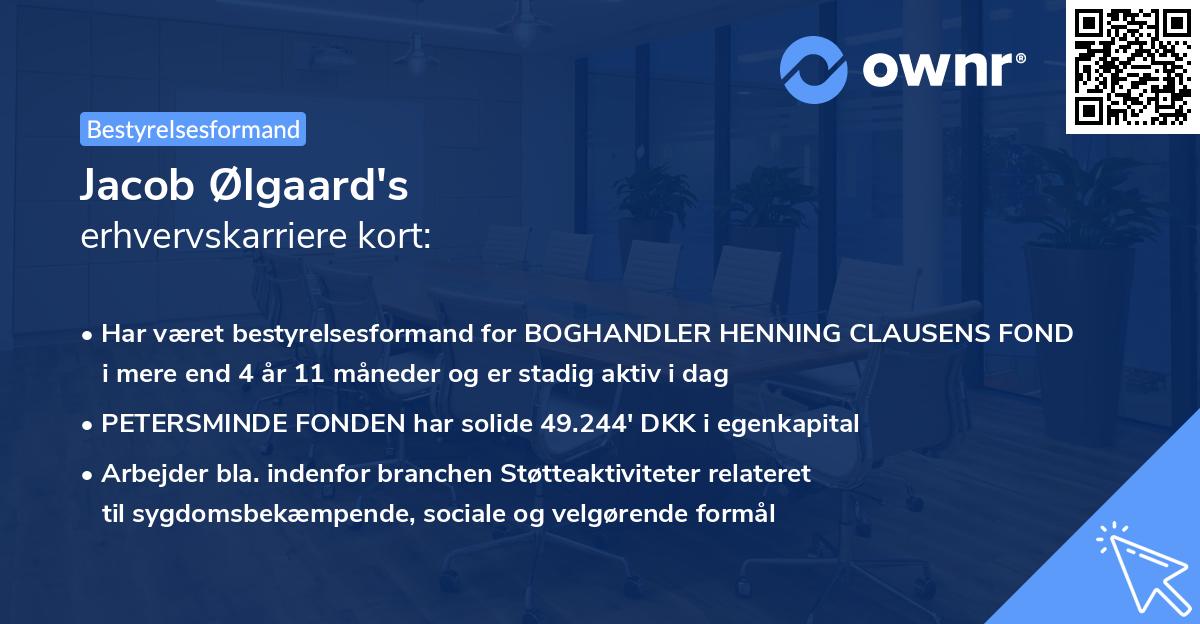 Jacob Ølgaard's erhvervskarriere kort