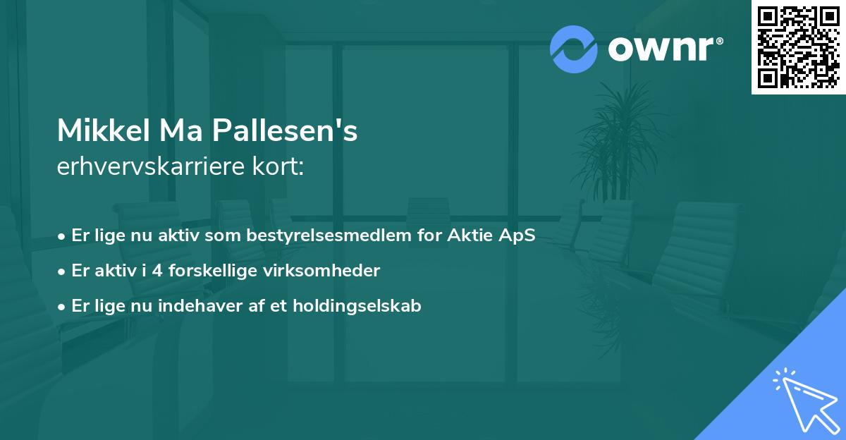 Mikkel Ma Pallesen's erhvervskarriere kort