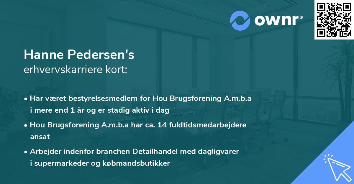 Hanne Pedersen's erhvervskarriere kort