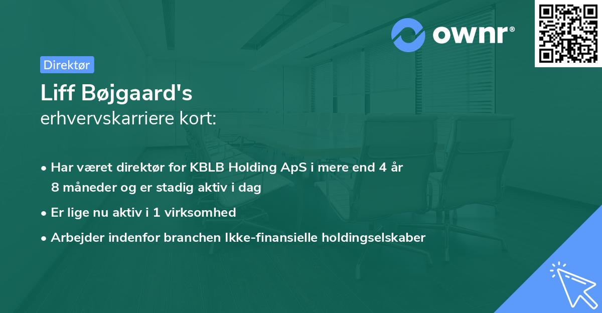 Liff Bøjgaard's erhvervskarriere kort