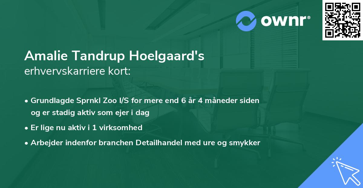 Amalie Tandrup Hoelgaard's erhvervskarriere kort