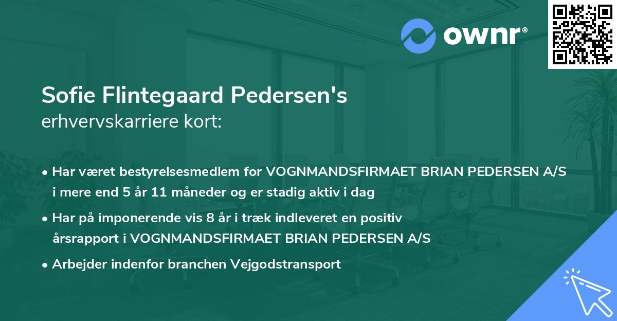Sofie Flintegaard Pedersen's erhvervskarriere kort
