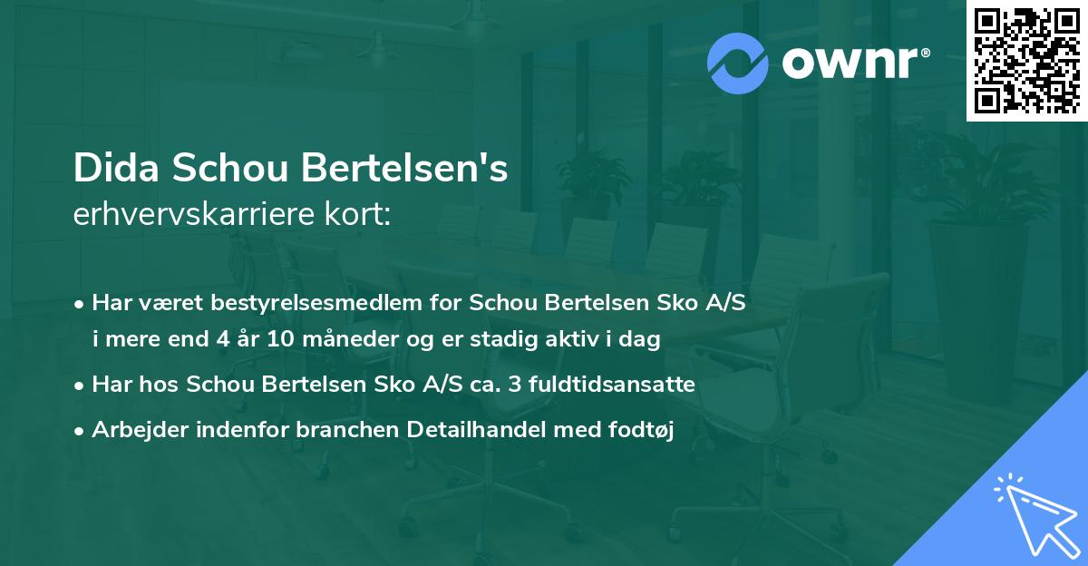 Dida Schou Bertelsen's erhvervskarriere kort
