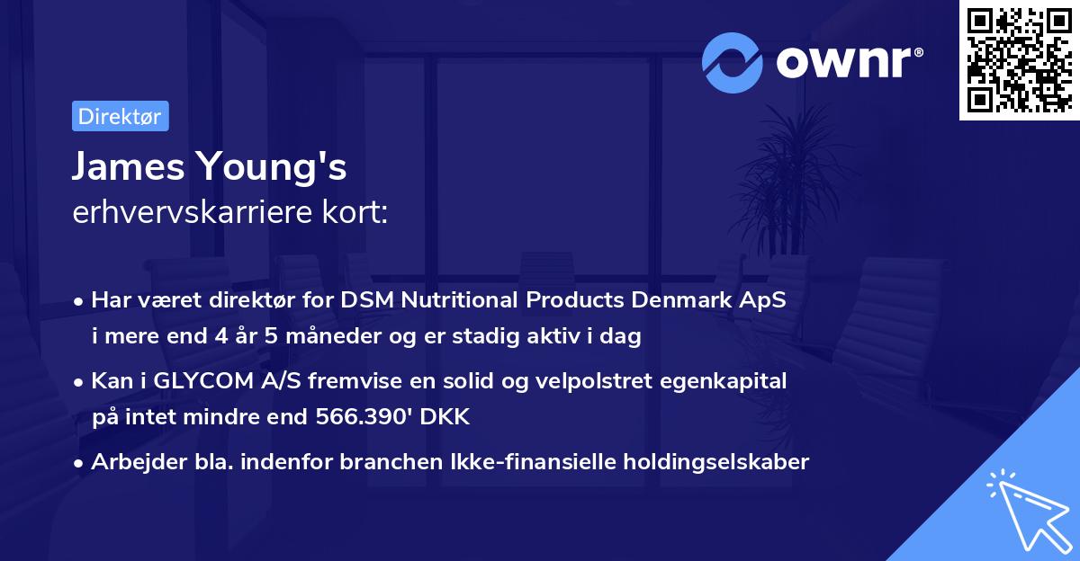 James Young's erhvervskarriere kort