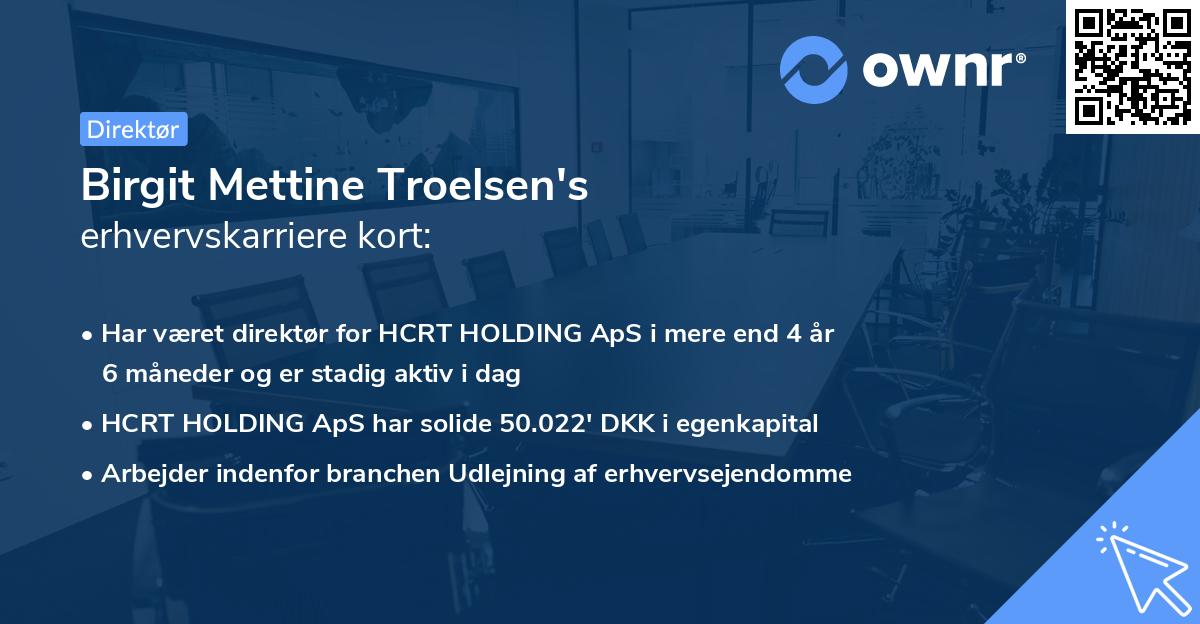 Birgit Mettine Troelsen's erhvervskarriere kort