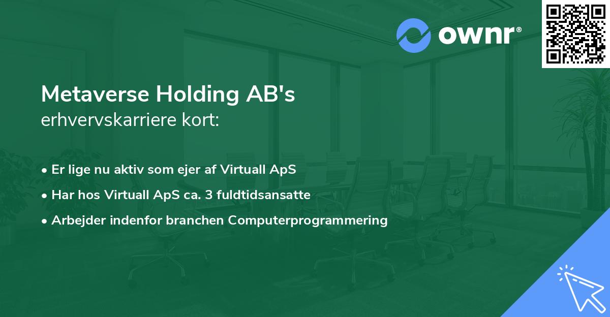 Metaverse Holding AB's erhvervskarriere kort