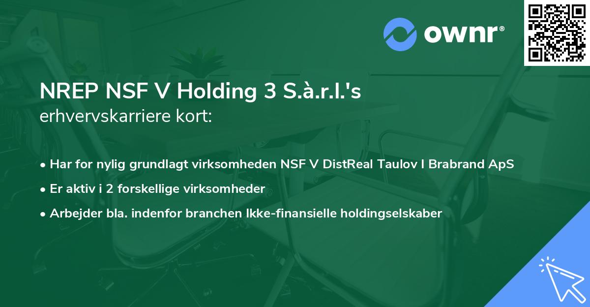 NREP NSF V Holding 3 S.à.r.l.'s erhvervskarriere kort