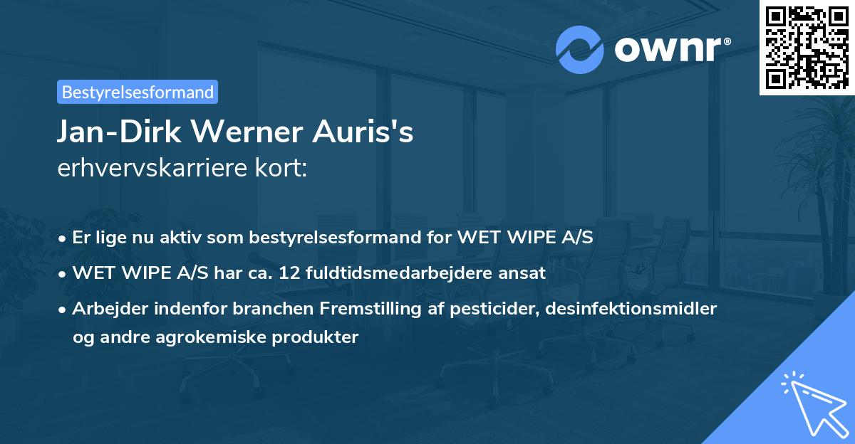 Jan-Dirk Werner Auris's erhvervskarriere kort