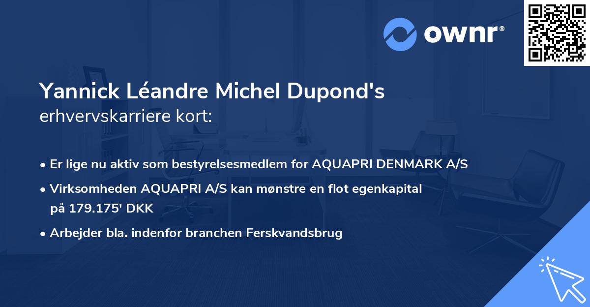 Yannick Léandre Michel Dupond's erhvervskarriere kort