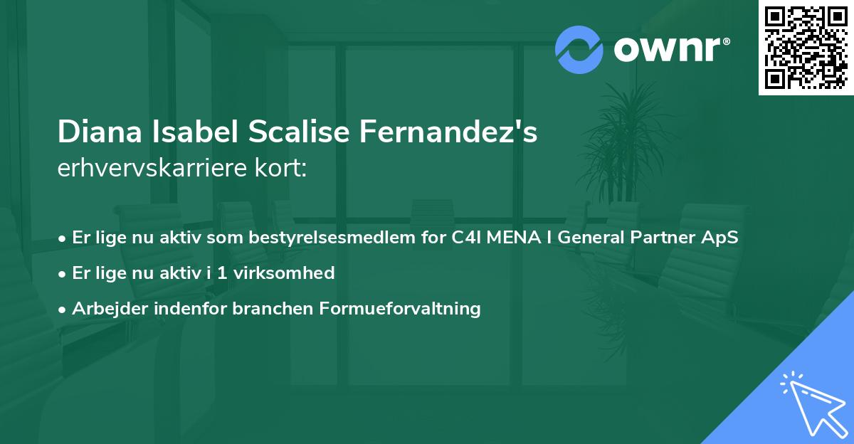 Diana Isabel Scalise Fernandez's erhvervskarriere kort
