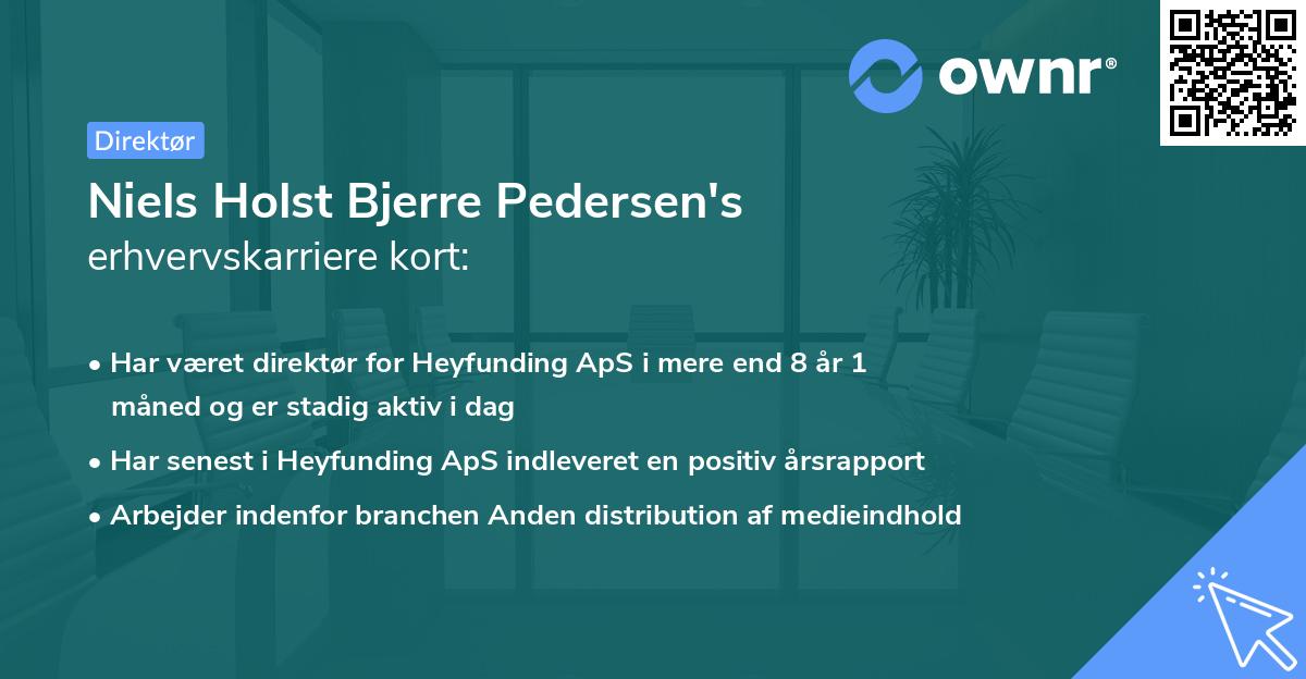 Niels Holst Bjerre Pedersen's erhvervskarriere kort