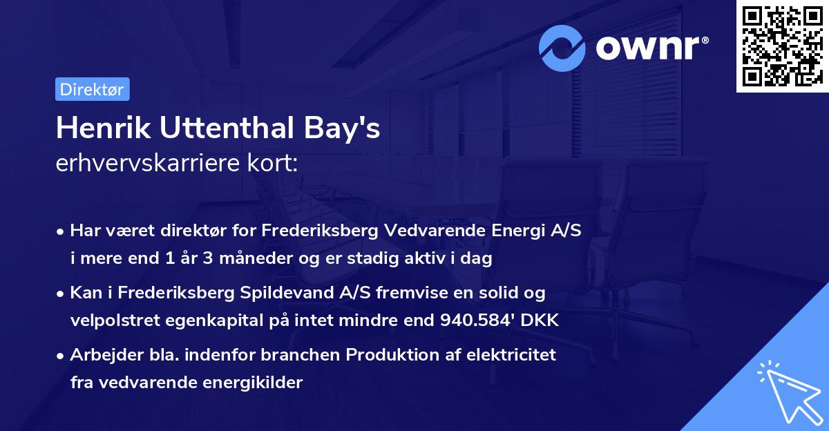 Henrik Uttenthal Bay's erhvervskarriere kort