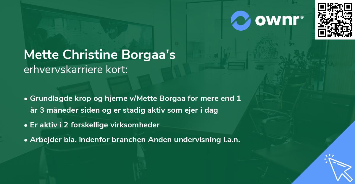 Mette Christine Borgaa's erhvervskarriere kort