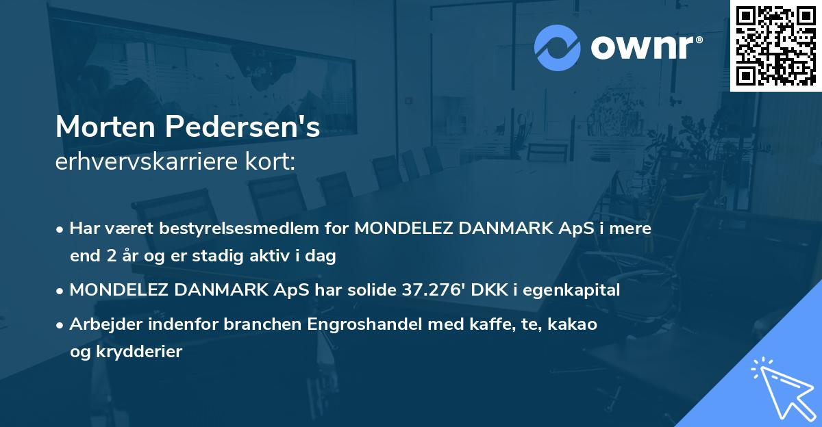 Morten Pedersen's erhvervskarriere kort