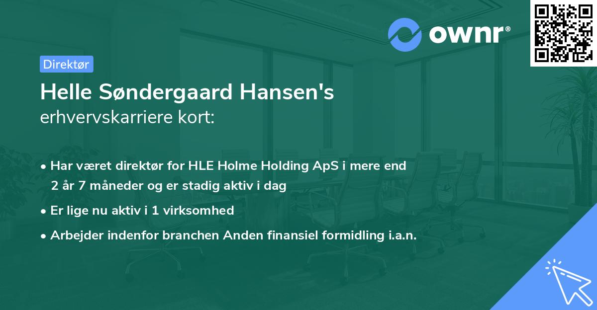 Helle Søndergaard Hansen's erhvervskarriere kort