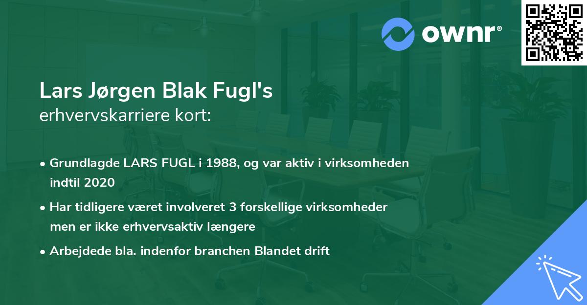 Lars Jørgen Blak Fugl's erhvervskarriere kort