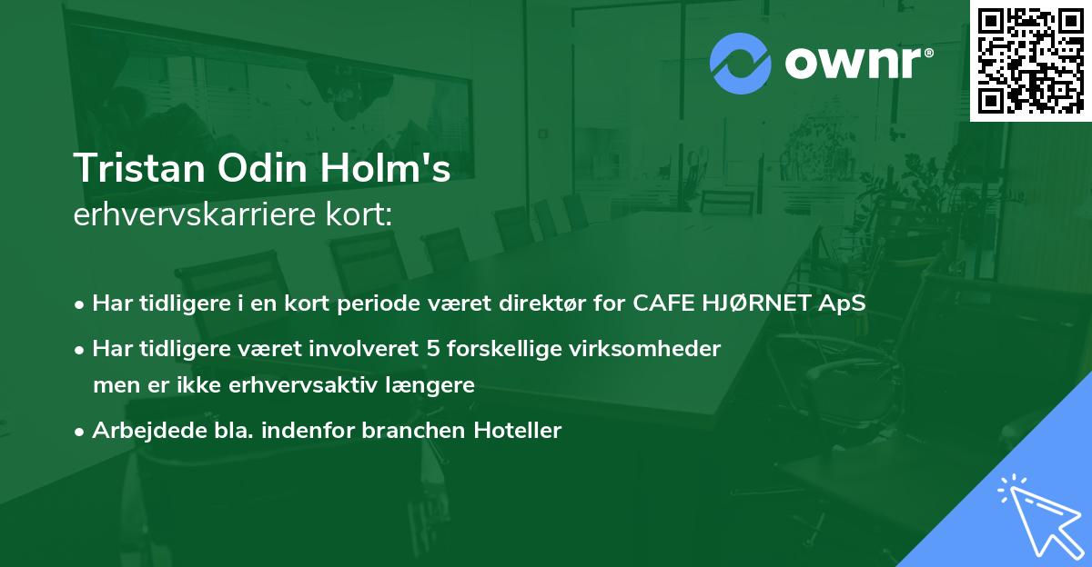 Tristan Odin Holm's erhvervskarriere kort