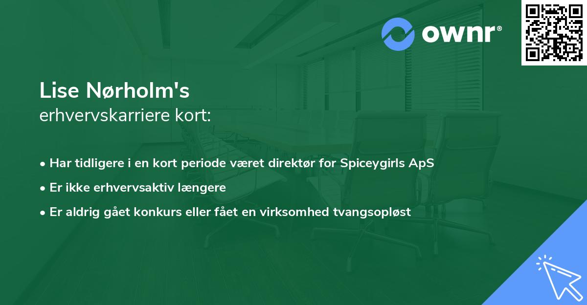 Lise Nørholm's erhvervskarriere kort