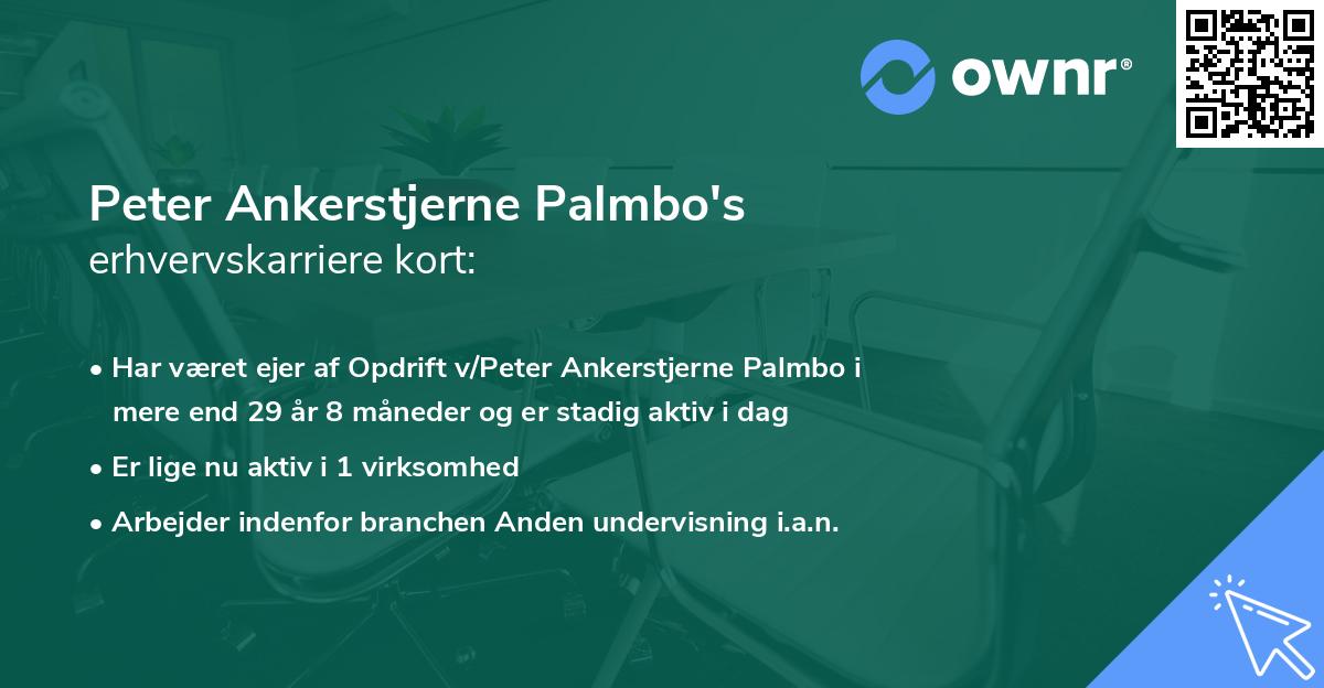 Peter Ankerstjerne Palmbo's erhvervskarriere kort