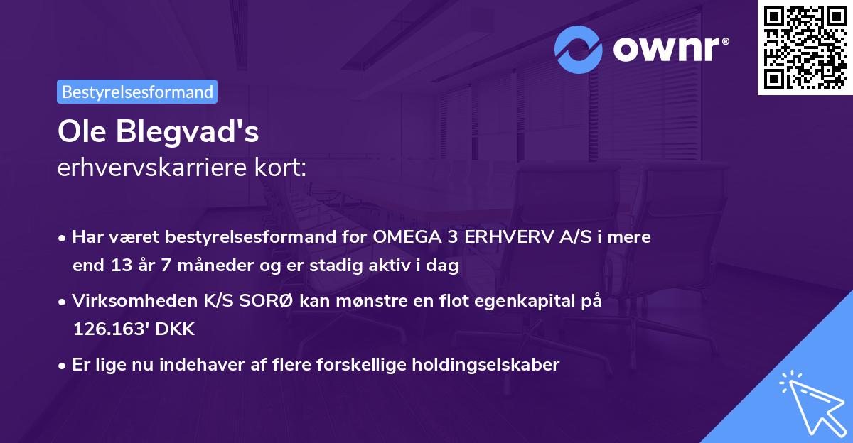 Ole Blegvad's erhvervskarriere kort