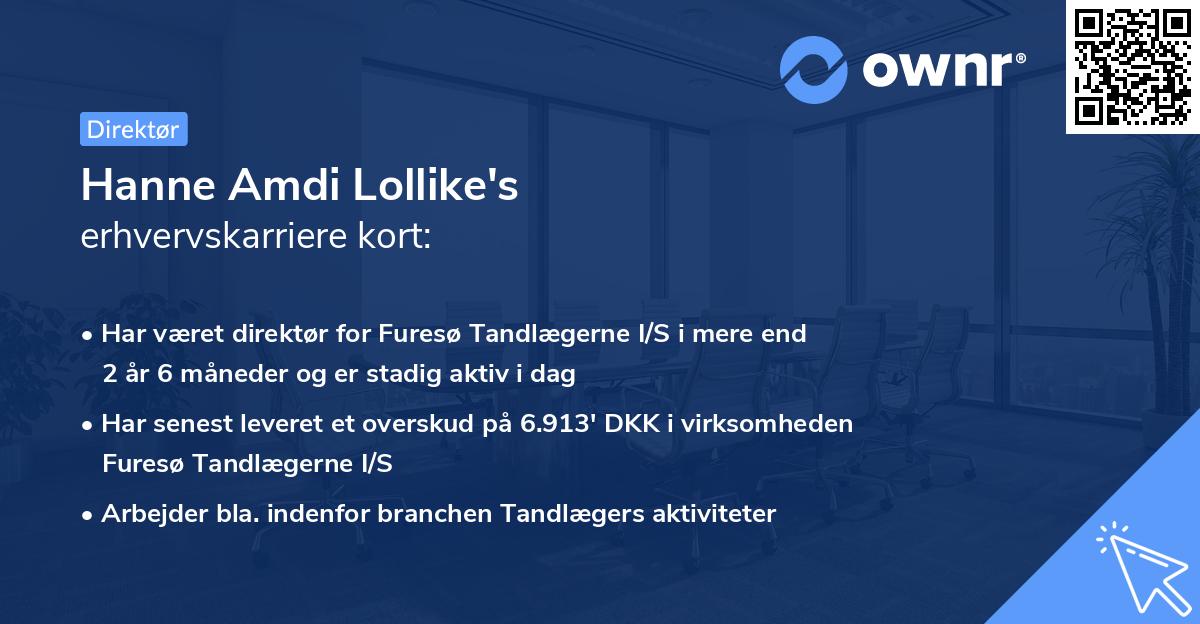 Hanne Amdi Lollike's erhvervskarriere kort