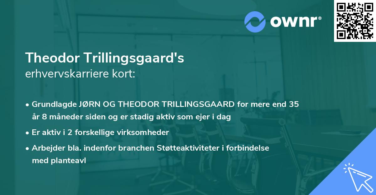 Theodor Trillingsgaard's erhvervskarriere kort