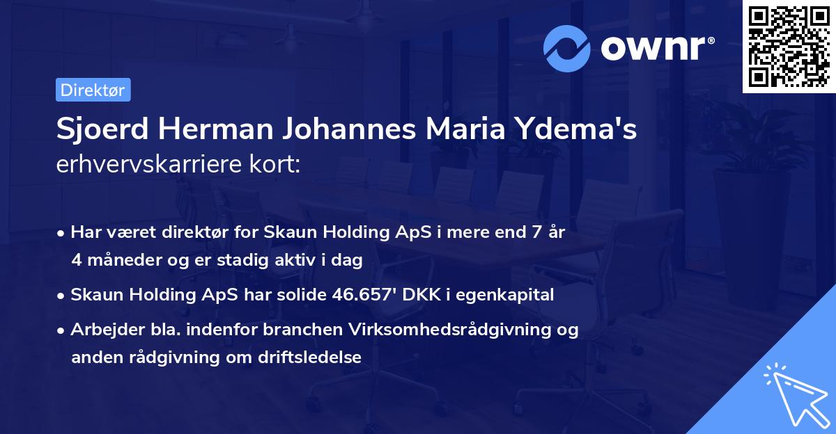 Sjoerd Herman Johannes Maria Ydema's erhvervskarriere kort