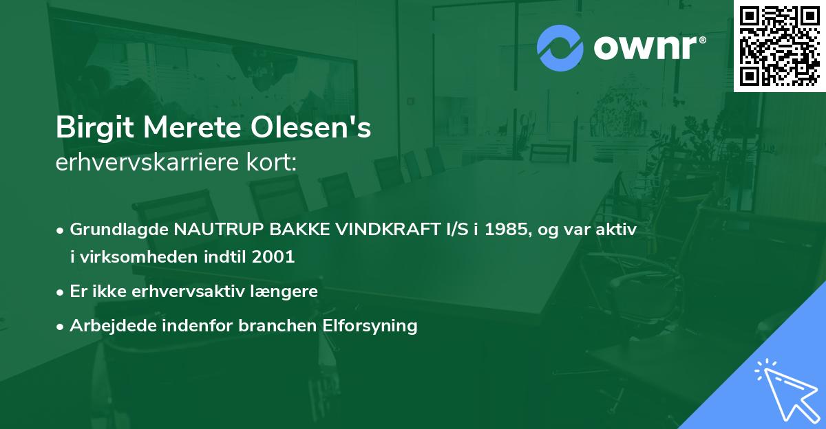 Birgit Merete Olesen's erhvervskarriere kort